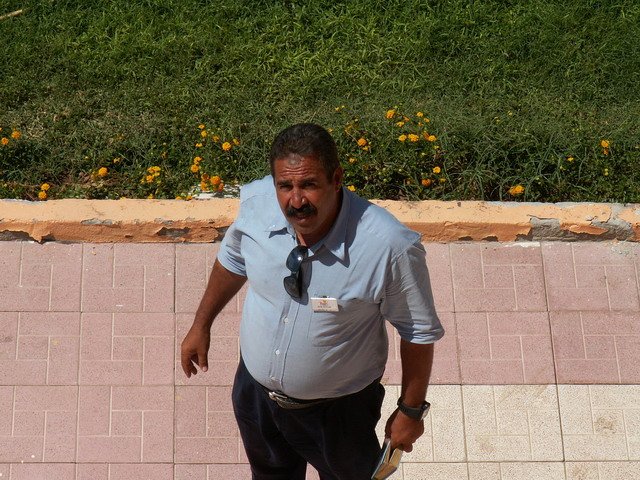 Photograph