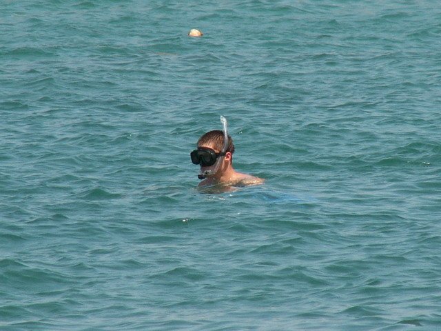 Photograph