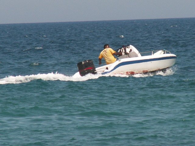 Photograph