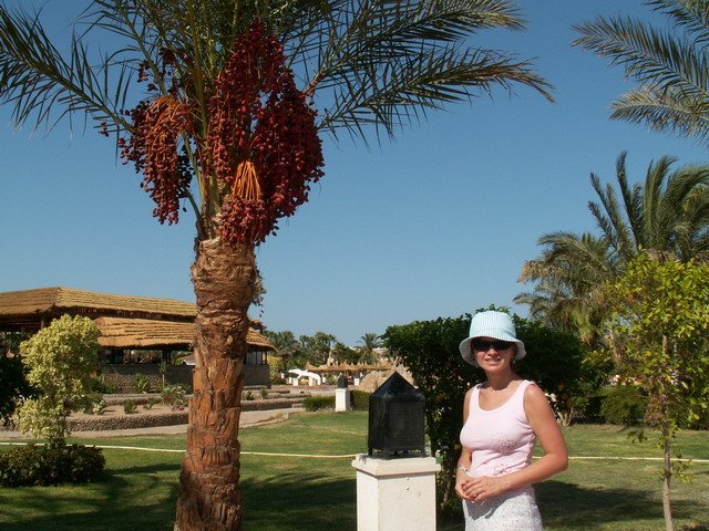 Photograph