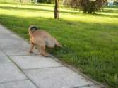 Photo Number 10