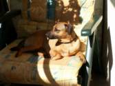 Photo Number 14